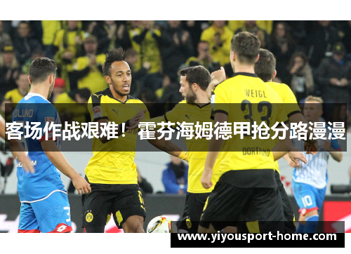 客场作战艰难！霍芬海姆德甲抢分路漫漫